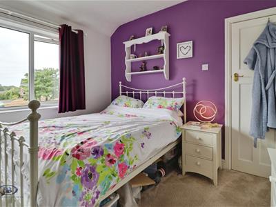 Picture 19